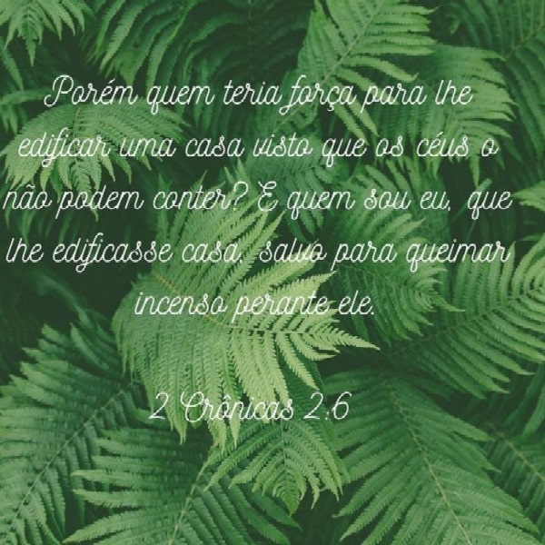 2 Crônicas 2:6