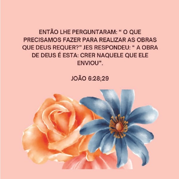 João 6:28-29