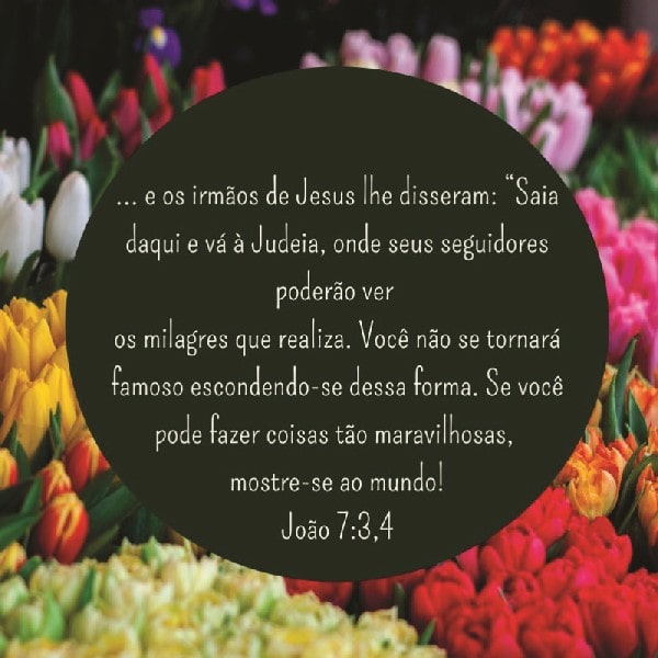 João 7:3