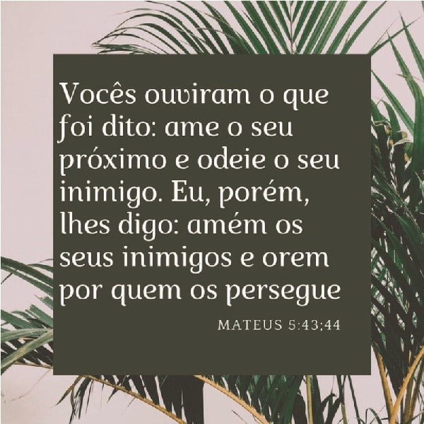 Mateus 5:43-44