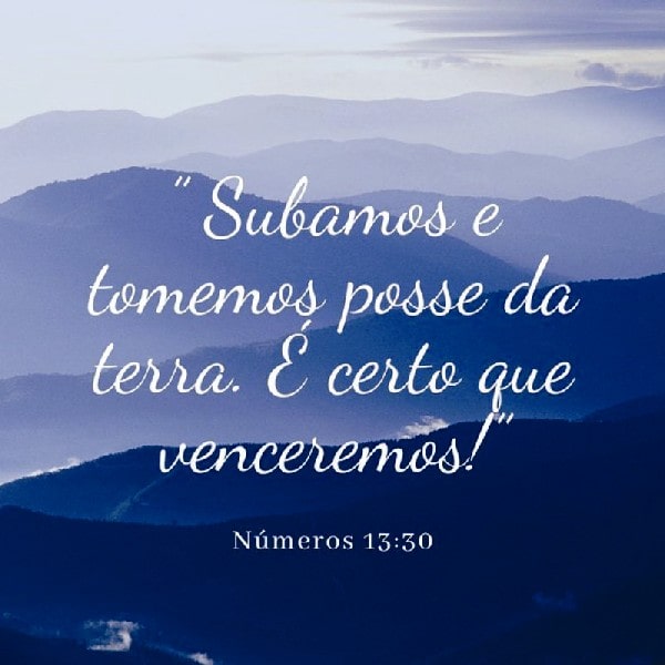 Números 13:30