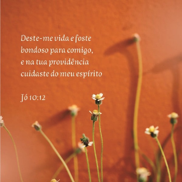 Jó 10:12