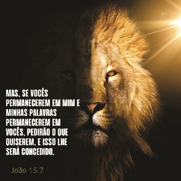 João 15:7