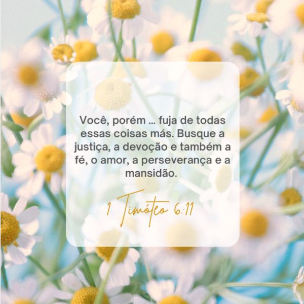 1 Timóteo 6:11