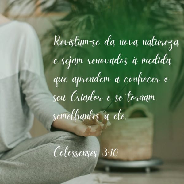 Colossenses 3:10